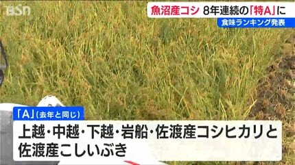 2025年産『魚沼コシヒカリ』が8年連続で最高ランクの“特A”評価【米の