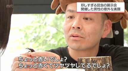 主催者は自衛隊員 転勤で標本集めに拍車 400種類1500匹の虫の標本を