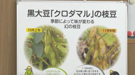 JAおおいたが宇佐市に初めて枝豆生産部会設立 2025年度は26トンの生産