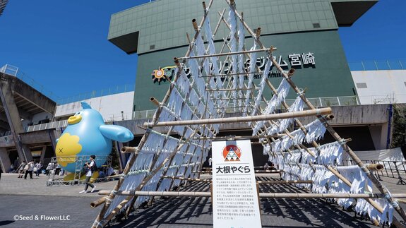 祝花の代わりに大根を吊るす画期的な取り組み 日向坂46「ひなたフェス」で「おひさま大根やぐら」規模拡大　|　MRTニュース ｜ ＭＲＴ宮崎放送