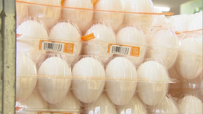 「半年くらい特売やっていない。もうギリギリの価格」”物価の優等生”たまご値上がり止まらず…クリスマスケーキに早くも影響が|TBS NEWS DIG