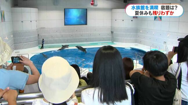 夏休みラストスパート 水族館ではイルカショーに歓声 夏休みあけの高校生は受験に向け猛勉強 鹿児島|TBS NEWS DIG