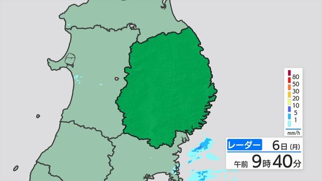 大雨と雷及びひょうに関する岩手県気象情報|TBS NEWS DIG