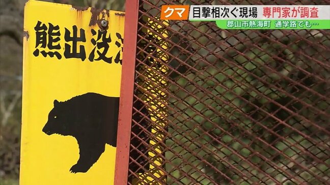 小学校の通学路でも…クマ目撃相次ぐ現場を専門家が調査 福島・郡山市熱海町|TBS NEWS DIG