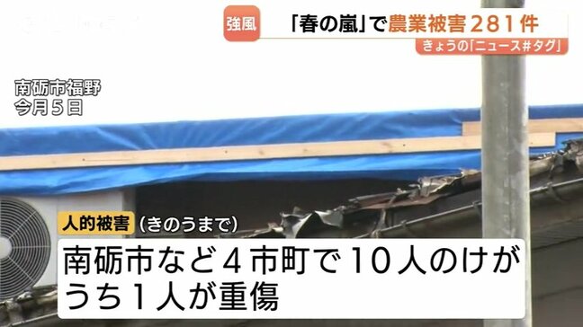 “春の嵐” 8市町村で農業被害 281件、1人重傷、ビニールハウス破損256件のほかトタン剥がれも　富山　|TBS NEWS DIG