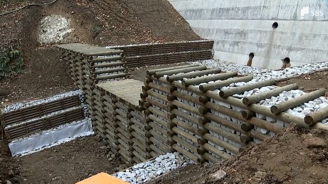 「自然に見た目がなじむ」環境にやさしいインフラ “木製治山ダム” 地域を災害から守り森林も元気に【SDGs】|TBS NEWS DIG