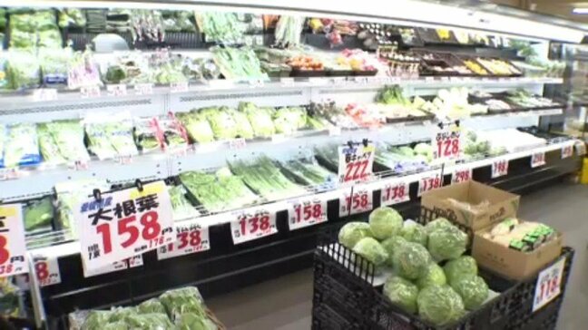 野菜価格落ち着く　一方でコメは…愛媛|TBS NEWS DIG