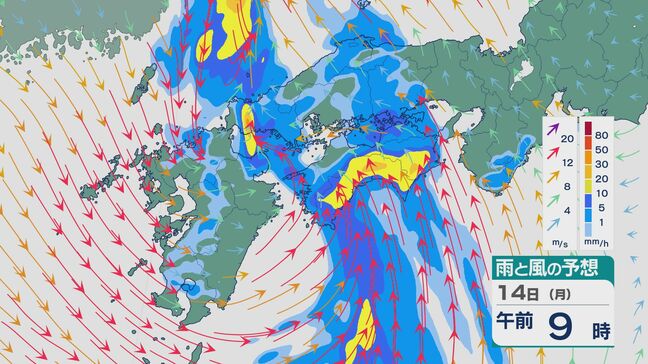 対馬海峡に低気圧が発生し西日本では大気の状態が非常に不安定に 四国の太平洋側では14日(月)にかけ雷をともなった大雨のおそれ 雨と風シミュレーション|TBS NEWS DIG