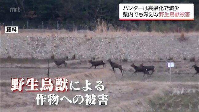 深刻な野生鳥獣の農林作物への被害　狩猟者が減少するなか　宮崎市の企業が開発した対策グッズが売れ行き好調|TBS NEWS DIG