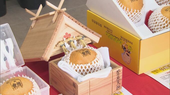 阪神のアレに続き…「合格まちがい梨」販売開始　受験生のアレを後押し　|　BSSニュース | BSS山陰放送