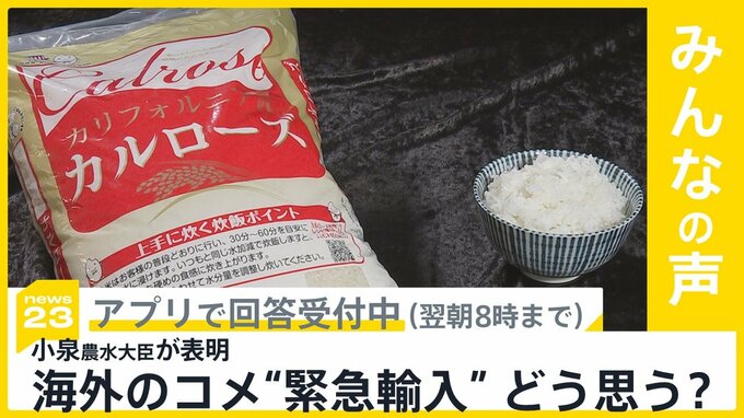 小泉農水大臣 海外からコメを緊急輸入する可能性を表明 あなたはどう思いますか？【news23】|TBS NEWS DIG
