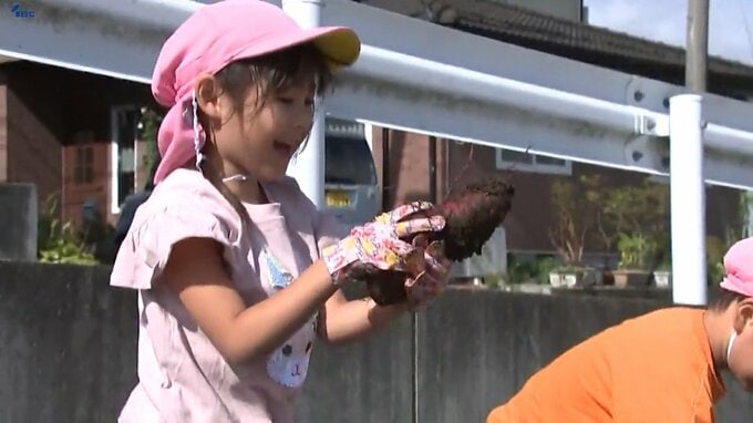 園児たちが果樹園で体験　収穫したサツマイモを見て歓声上がる　盛岡市|TBS NEWS DIG