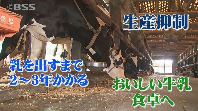 「蛇口をひねれば出るものではない」生乳の「生産抑制」…厳しい経営の中、乳牛を処分しないと決めた酪農家の思い　|　BSSニュース | BSS山陰放送