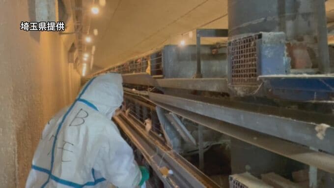 埼玉の養鶏場で鳥インフルエンザ確認　県が24万羽の処分開始|TBS NEWS DIG