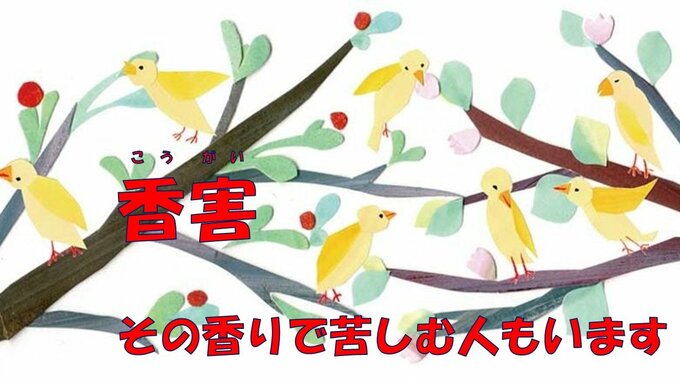 頭痛に吐き気、肌がかぶれて真っ赤に…化学物質過敏症の当事者が苦しむ「香害」|TBS NEWS DIG