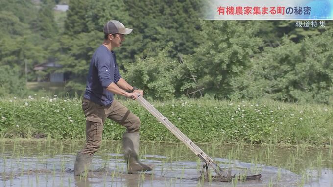 「コウノトリ見たい」から始まった“有機給食化”で成功も　今“有機農家”集まる街とは　|TBS NEWS DIG