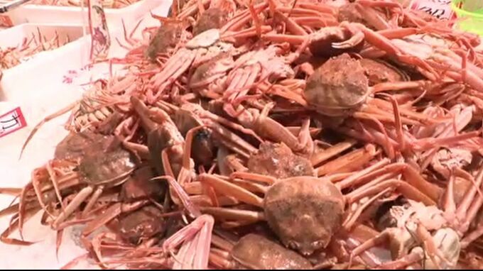 被災地・輪島港のカニが初の水揚げ 近江町市場にも多くの購入客で賑わう　|　石川県のニュース｜MRO北陸放送
