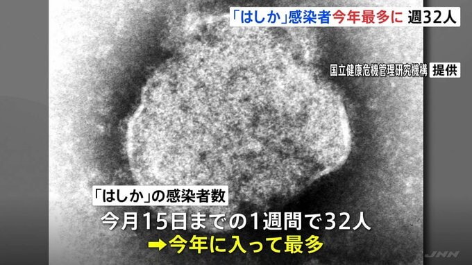 【速報】全国の「はしか」感染者　1週間で32人 今年に入り最多　東京12人 千葉8人|TBS NEWS DIG