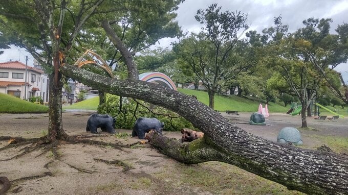 台風10号接近　大分県内で女性1人けが　倒木や冠水相次ぎ、道路被害広がる　|　大分のニュース｜OBS NEWS｜大分放送