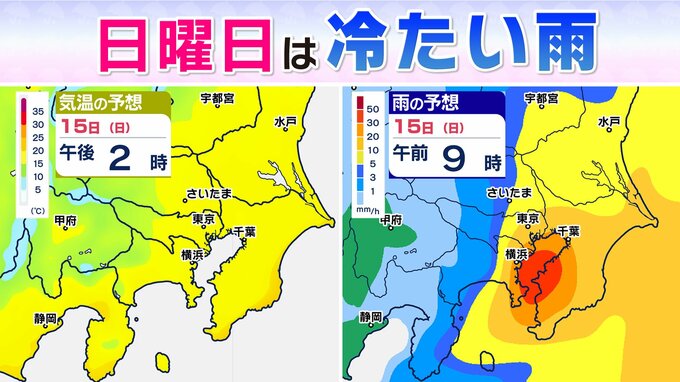 【土日は南岸低気圧で雨】 九州・近畿・関東…西から雨広がる 　日曜は関東地方20℃に届かず肌寒く【土日の天気】雨シミュレーション１４日(土)～１５日(日)　|　鹿児島のニュース｜MBC NEWS｜南日本放送