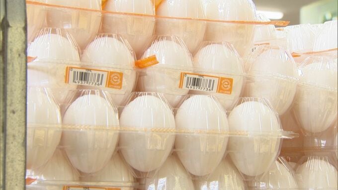 「半年くらい特売やっていない。もうギリギリの価格」”物価の優等生”たまご値上がり止まらず…クリスマスケーキに早くも影響が|TBS NEWS DIG