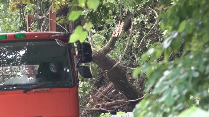 大雨で県道沿いの斜面から土砂流出 地震で一度崩れ県が応急工事 石川・穴水町　|　石川県のニュース｜MRO北陸放送