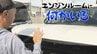 「エンジンルームに何かいる」ボンネットを開けてのぞいてみると、つぶらな瞳が…「車は使いません」　|　宮城のニュース│tbc NEWS│tbc東北放送