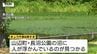 【現場動画】現場は住宅密集地の中の公園...沼で70代男性死亡　沼の周囲には低い柵（山形・山辺町）　|　山形のニュース│TUYテレビユー山形