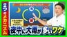 実は多い『夜中の大雨』そのメカニズムとは？未明〜早朝にかけて発生多い「線状降水帯」データでも明らかに…寝るときは3つの対策を【気象予報士解説】　|　MBSニュース | 関西の最新ニュースを分かりやすく。