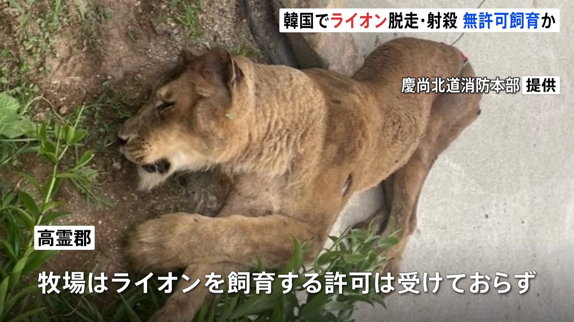 img_fb64a38ed2a7d5af9f7edb8502