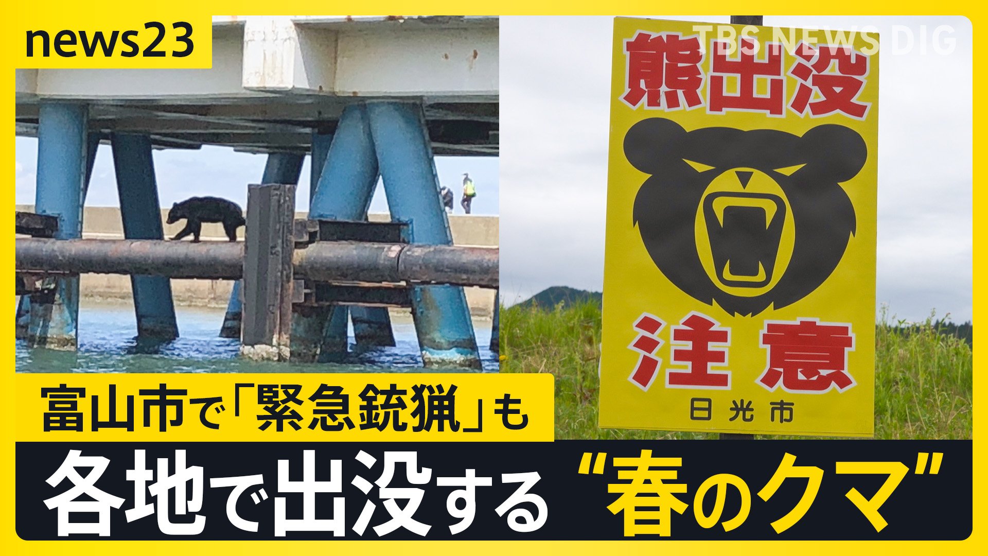 GWも警戒を！各地で出没する“春のクマ” …約1.5m・86kgの個体「緊急銃猟