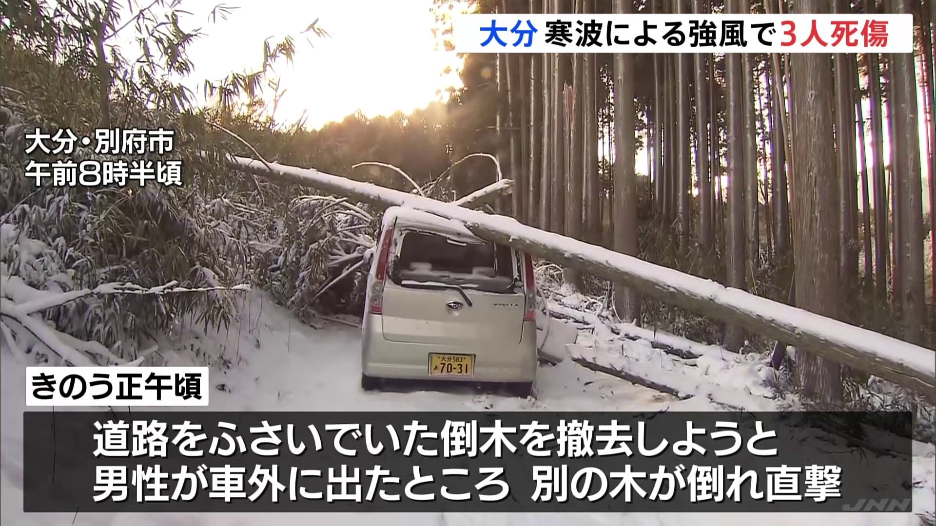 道路をふさぐ倒木を撤去しようと車外に出たところ別の木の下敷きに