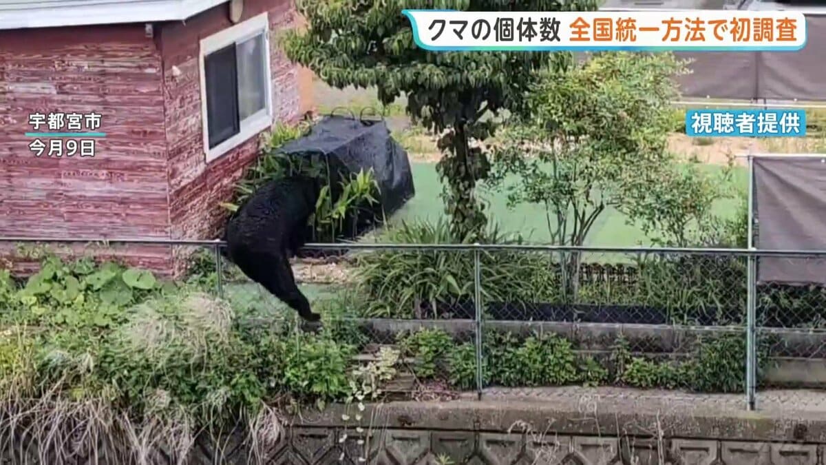 クマの個体数 全国統一の手法で初調査 800台以上のカメラを設置しクマ