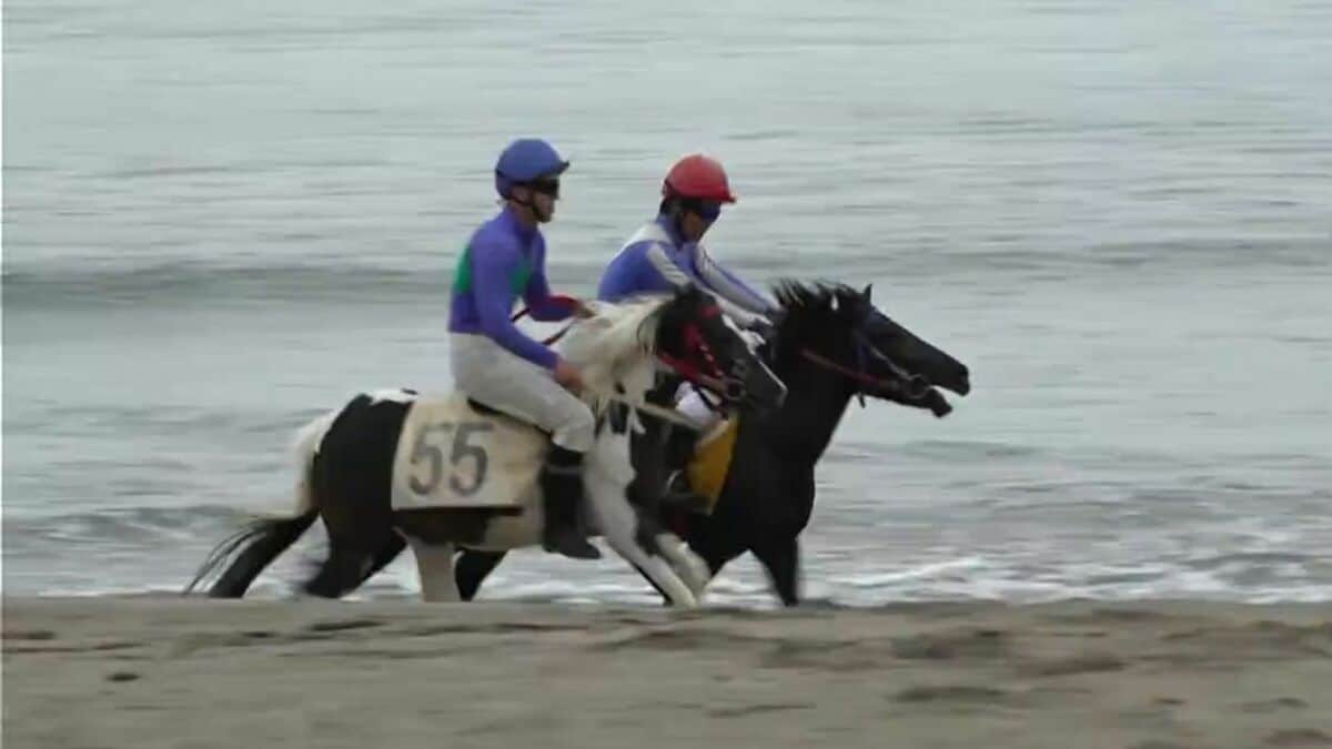 砂浜を疾走！珍レースが笑い誘う　名物行事「串木野浜競馬」にぎわう　鹿児島