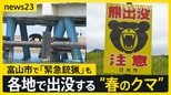 GWも警戒を!各地で出没する“春のクマ” …約1.5m・86kgの個体「緊急銃猟」も 京都や日光などの観光地では「クマ対策」迫られる【news23】|TBS NEWS DIG
