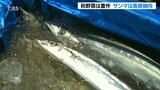 秋の味覚「サンマ」入荷量、去年の7割…価格3割上昇 高値傾向続く見込み | 大分のニュース|OBS NEWS|大分放送