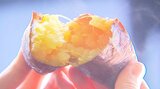 県産ブランド「甘太くん」初セリ 高い糖度を誇るサツマイモ 大分 | 大分のニュース|OBS NEWS|大分放送