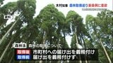 「他県では太陽光などのトラブルも」 森林の不適切開発防止に向けて　新条例に熊本県知事が意欲　|　熊本のニュース｜RKK NEWS｜RKK熊本放送