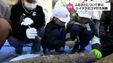ふるさとについて学ぶ　日南市の小学生がシイタケのコマ打ちを体験|TBS NEWS DIG