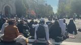 米大学で親パレスチナ・反イスラエルデモが激化　エール大学でも学生含む60人拘束|TBS NEWS DIG