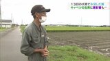 もうガックリ!キャベツが… 大雨の被害は野菜農家にも 富山・小矢部市|TBS NEWS DIG