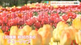 「おがたチューリップフェスタ」開催 家族連れでにぎわう 大分 | 大分のニュース|OBS NEWS|大分放送