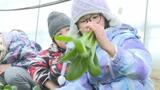 「普段は体験できないこと」収穫後にそのままで試食する子も　小学生が冬の寒さに強い葉物野菜の収穫を体験　　|　青森のニュース│ATV NEWS│青森テレビ