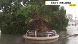【台風6号最接近】最大瞬間風速40.6m 沖縄・うるま市で6月観測史上最大に 県内で少なくとも6人けが 各地で街路樹倒れる|TBS NEWS DIG