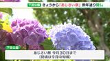 今季の開花はちょっとゆっくり…「あじさい祭」開幕＝下田市（静岡県）|TBS NEWS DIG