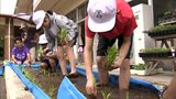 3人の全校児童と教職員で学校の花壇を田んぼに準備　延岡市の小学校で田植え体験　|　MRTニュース ｜ ＭＲＴ宮崎放送