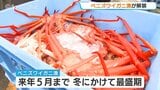 富山湾ベニズワイガニ初水揚げ!猛暑対策で10日遅れの解禁も漁師は手ごたえ「地震の影響から回復傾向」新湊漁港 | 富山のニュース|天気・防災|チューリップテレビ