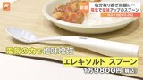 電気の力で「塩味を強くするスプーン」をキリンが発表　塩分のとりすぎに対応|TBS NEWS DIG