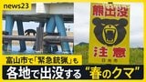 GWも警戒を！各地で出没する“春のクマ” …約1.5m・86kgの個体「緊急銃猟」も　京都や日光などの観光地では「クマ対策」迫られる【news23】|TBS NEWS DIG