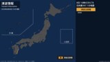 【津波注意報】宮崎県 19:00時点|TBS NEWS DIG